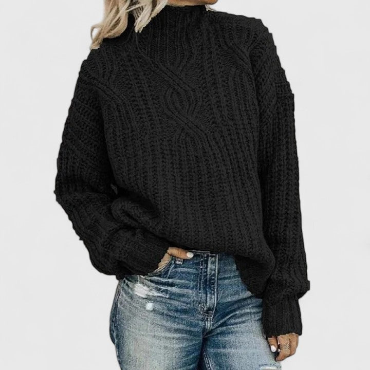 Evelyn Ashbourne™ | Flattering Roll-Neck Knit Pullover